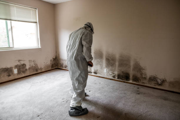 Best Industrial Mold Remediation in Deerwood, TX